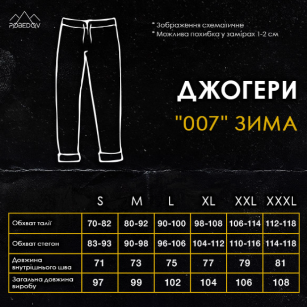 Комплект Pobedov Джогери  007 + Худі 008 - 4
