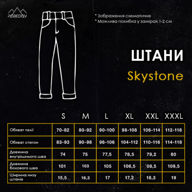 Брюки-карго Pobedov Skystone Черный - 6