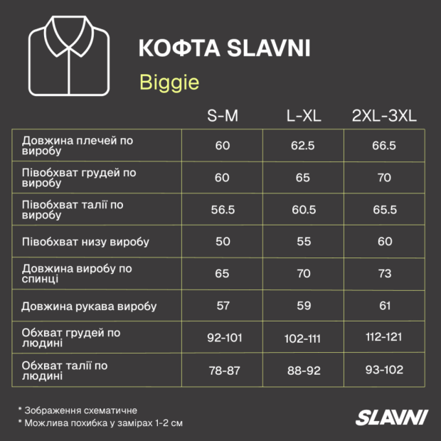 Комплект Кофта Slavni Biggie + Джогери Slavni Baggo Темно-сірий - 7