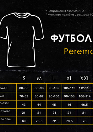 Футболка Pobedov Peremoga - Bulavka chernyy Білий 2