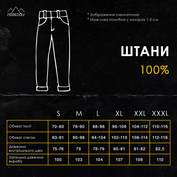 Штаны Pobedov 100% Серый - 3