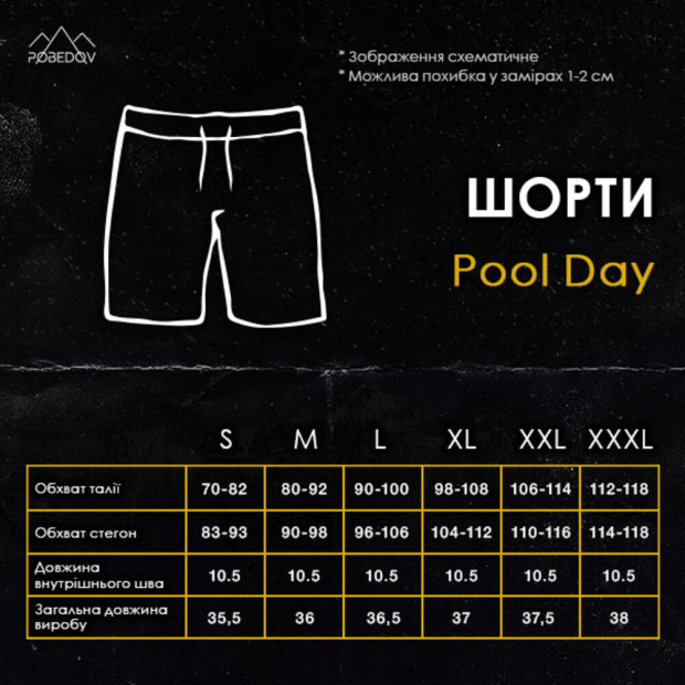 Шорты для плавания Pobedov Pool day Los Santos Голубой - 3