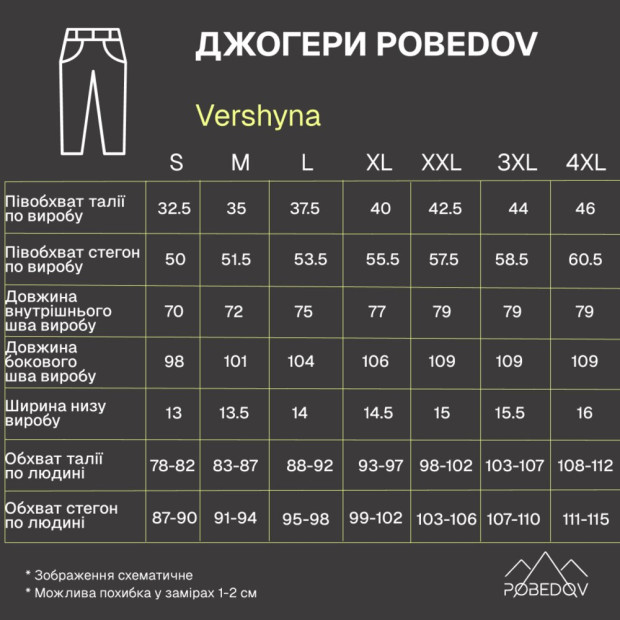 Джоггеры Pobedov Vershyna Черный - 9