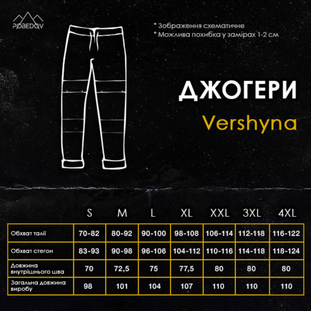 Джоггеры Pobedov Vershyna Черный - 9